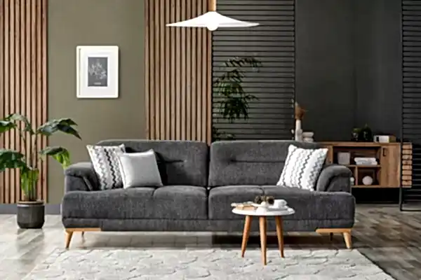 Alinda Koltuk Takımı