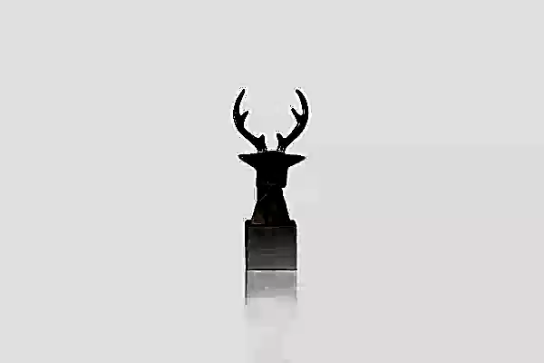 Kübik Geyik Başı - BYR02