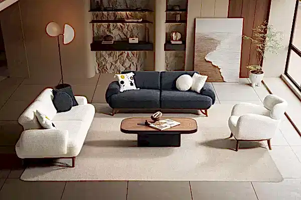 Kuğu Koltuk Takımı