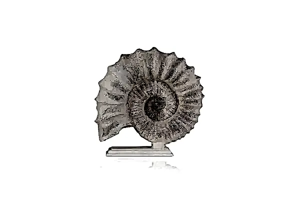 Salyangoz Dekor - BYR07